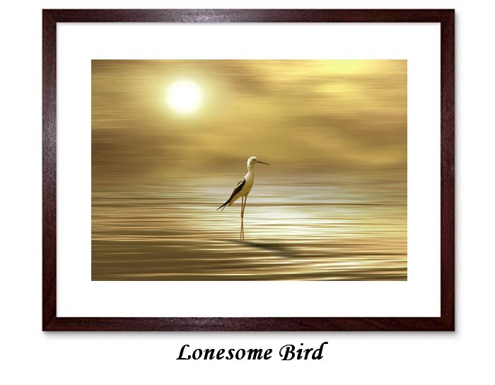 Lonesome Bird Framed Print